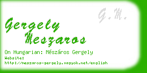 gergely meszaros business card